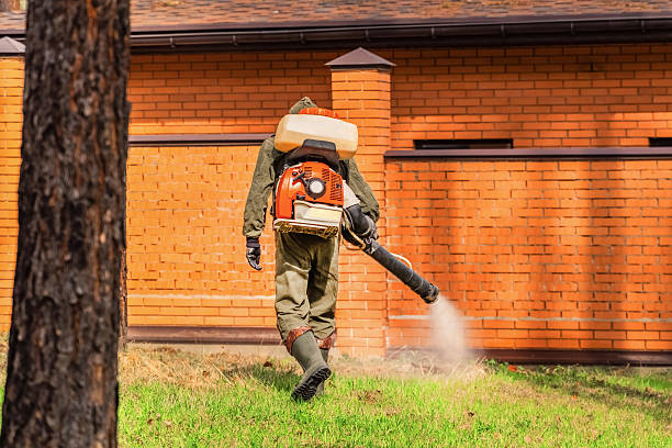 Trusted Ant Control service in Pistakee Highlands, IL - Nex Pest Control